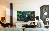 삼성 OLED TV ‘빛 반사 방지’ 기능으로 보다 선명한 화면 감상 [히트상품]