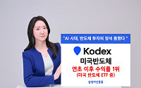 KODEX 미국반도체, 미국 반도체 ETF 중 연초 이후 수익률 1위