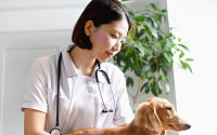 日, 애완동물 ‘노노케어’ 위한 서비스 속속 등장