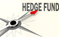 극심한 시장 변동에 ‘매크로 헤지펀드’ 부활…2008년 이후 최고 풍년