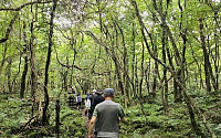 제주도 '곶자왈' 보호...10억 달성