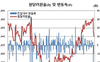 환율 단기 진정 효과…"근본 처방 아냐"[서학개미 되돌릴까]③