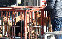 ‘개 식용 종식’ 현실화…개농장 10곳 중 8곳 사라져