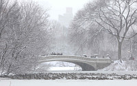 뉴욕서 3년 만에 최대 폭설…美 동북부지역 항공기 수천 편 결항·지연 속출