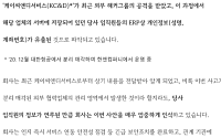 대한항공, 기내식 납품업체 해킹 여파로 임직원 개인정보 유출 "긴급조치 완료"