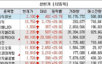 [급등락주 짚어보기] 형지엘리트ㆍ원익ㆍ스피어ㆍ셀루메드 등