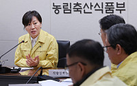 충북 옥천 메추리 농장서 고병원성 조류인플루엔자