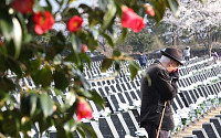 4·3희생자·유족 권리보장제도...제주도 개선 건의
