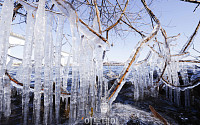 영하 10도 '맹추위'에 꽁꽁 언 한강 고드름 [포토로그]