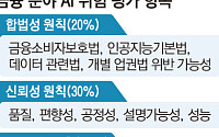 금융업무에 AI 활용 '위험도' 점수화⋯ 당국, 보조수단 규정
