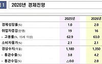 "올해 2.0% 성장…반도체가 수출 견인, 소비 회복ㆍ투자 증가" [2026 성장전략]