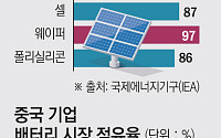 돈줄 죄는 中, 성장판 닫히나…韓 배터리·태양광, 경쟁력 회복 기대감