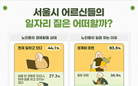 일하는 서울 노인 44% 시대, 계층별 양극화 '뚜렷'..."일자리 질적 개선 필요"
