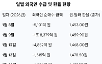 1470원 뚫린 '환율 발작'… 코스피 외국인, '팔자' vs '관망' 기로