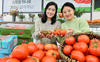 농협유통, 겨울철 면역력 강화 식품으로 ‘토마토’ 추천