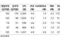 상상인증권 "진에어, 비우호적 대외환경 지속…목표가 17%↓"