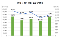 ELS 발행 70조원 눈앞, 작년 25% 급증⋯ 공모·해외지수 확대