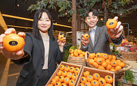“현대백화점 고당도 감귤 ‘H스위트 17’ 맛보세요”