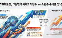 대형주 15.2% 오를 때 소형주는 0.5%…불장 속 수익률 양극화