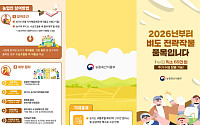 쌀값과 무관하게 500만 원 지급…정부, 가공용 벼로 수급 조절