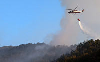 전남 광양·부산 기장 산불 잇따라 진화…밤샘 대응으로 확산 차단