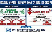 가상자산 하락장서 기회 찾는 글로벌 DAT社…국내는 규제로 ‘대응 공백’