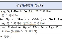무역위, 中광섬유에 5년간 43% 반덤핑 관세 부과 최종 결정