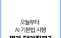 AI 기본법 오늘부터 시행...뭐가 달라질까? [카드뉴스]