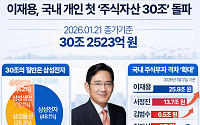 이재용, 국내 개인 첫 주식자산 '30조 원' 돌파 [인포그래픽]