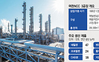 [단독] 에틸렌에 방향족까지...여천NCC 3공장, 2월 말 전면 셧다운