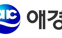 애경산업, 지난해 영업익 55% 감소⋯중국ㆍ내수 부진 영향