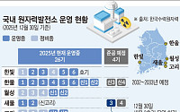 AI 전력수요 급증에 다시 원전…후보지 영덕·울진 등 거론
