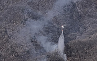 홍천 매봉산 군 사격장 훈련 중 산불 발생