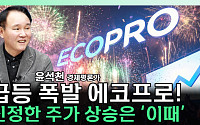 2차전지 다시 불붙나…에코프로 급등에 '로봇 배터리' 기대감 [찐코노미]