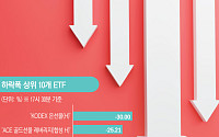 국내 증시 급락에 수익률 상위 ETF도 ‘와르르’…커지는 레버리지 ETF 우려