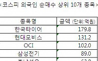 코스피 외국인 순매수 상위 10개 종목