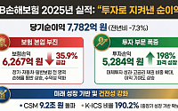 KB손보, 작년 순이익 7782억원…보험손익 급감에 전년비 7.3%↓