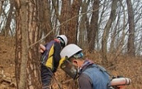 소나무재선충병 확산 차단 등...전북도 숲 체질 개선 나서
