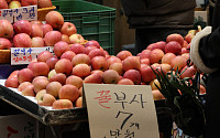 “명절 장바구니 비상”… 사과·계란·쌀값 인상에 정부 40% 할인 지원[물가 돋보기]