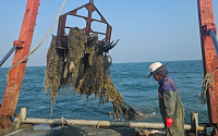 폐어구 수거 효율 높인다…연근해어장 수요조사 상시 체계 전환