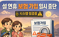 설 연휴 첫날·마지막 날 새벽 보험 가입 일시 중단…“필요 시 사전 가입 권고”