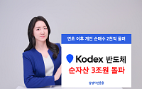 삼성자산운용 'KODEX 반도체 ETF' 순자산 3조 돌파