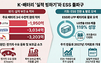 K-배터리 전기차 캐즘에 실적 '빙하기'…"ESS전환도 역부족"