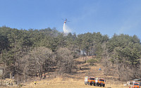 [날씨] 건조주의보에 강풍·풍랑 특보 발령…산불·화재 주의