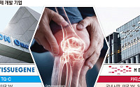 글로벌 시장 노리는 K-관절염 신약들…FDA 문턱 넘을까