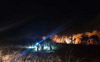강원 고성 리조트 인근서 산불…당국, 대응 2단계로 상향