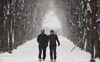 충청·경상 대설특보에 중대본 1단계 가동… 위기경보 '주의' 격상