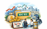 개미도 비상장 벤처 투자… 내달 'BDC' 첫선[개인 벤처투자路①]