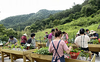 전국 91곳 ‘치유농업 인증’ 첫 확정…체험 넘어 보건·복지 연계 산업으로