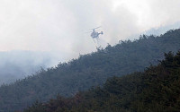 밀양 산불 20시간여 만에 주불 진화…축구장 200개 면적 소실